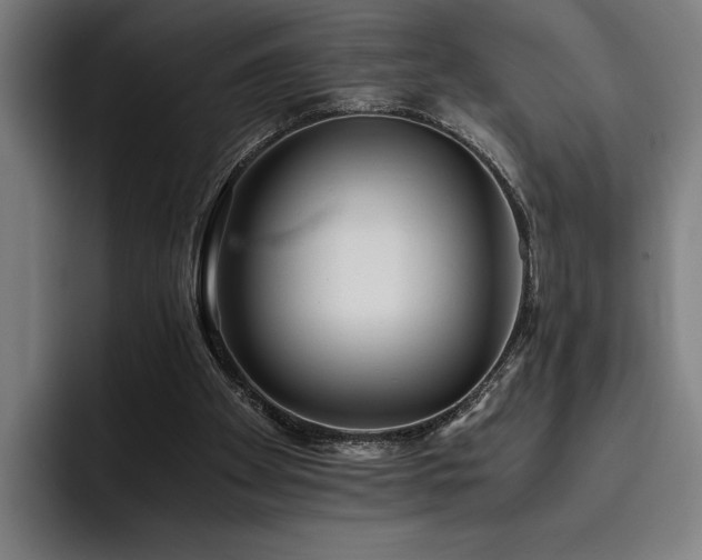 X0000093530105200710121606