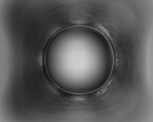 X0000093530106200710121606
