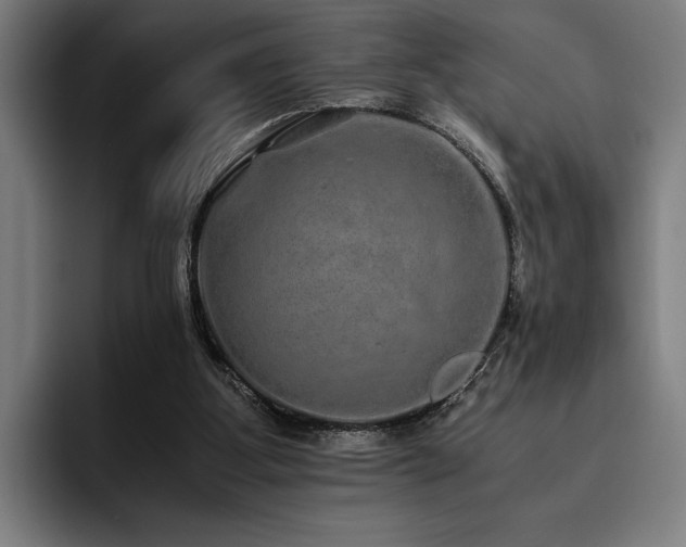 X0000093530107200710121606