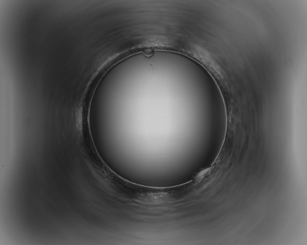 X0000093530108200710121606