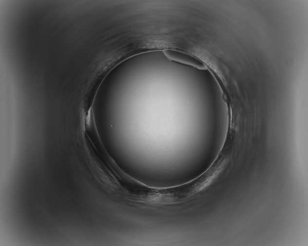 X0000093530109200710121606
