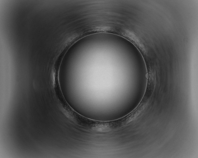 X0000093530110200710121606