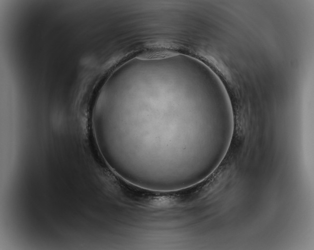 X0000093530111200710121606