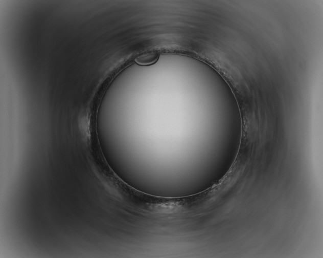 X0000093530112200710121606