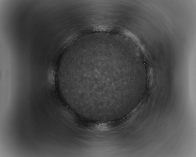X0000093530114200710121606