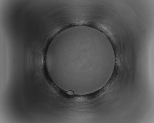 X0000093530115200710121606