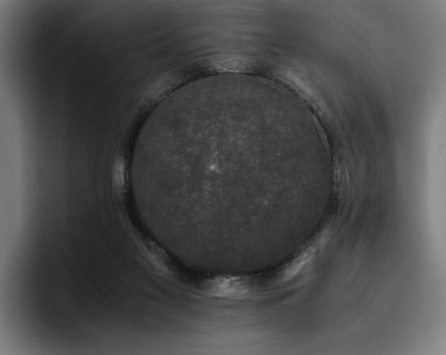 X0000093530117200710121606