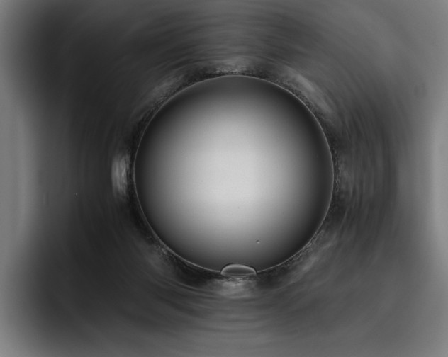 X0000093530118200710121606