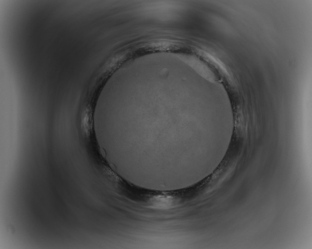 X0000093530119200710121606