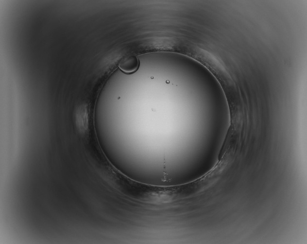 X0000093530120200710121606