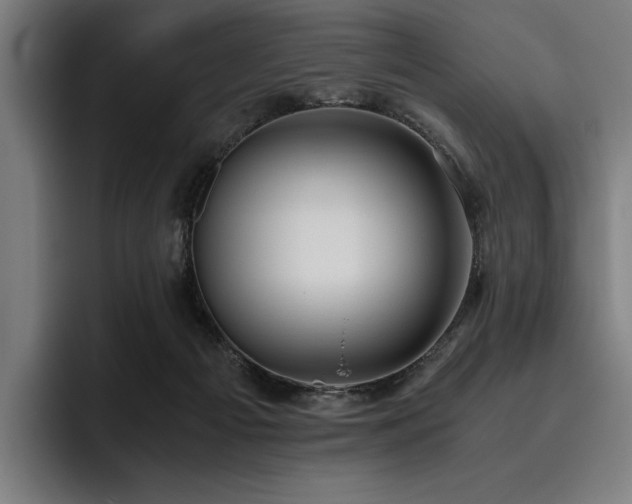X0000093530121200710121606