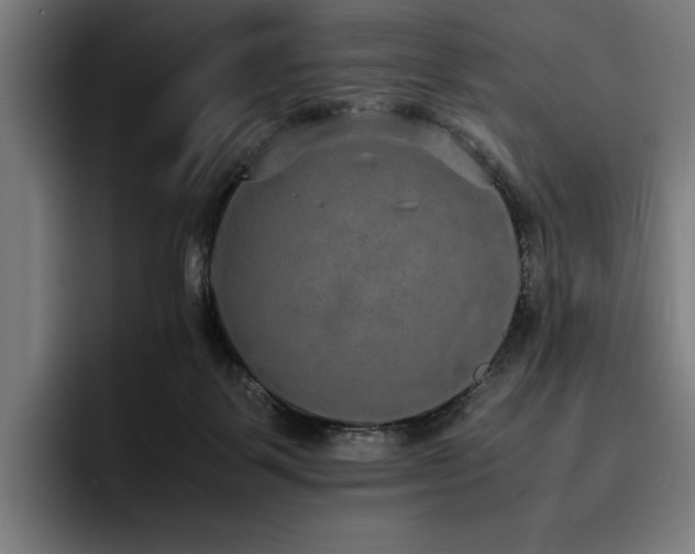X0000093530123200710121606