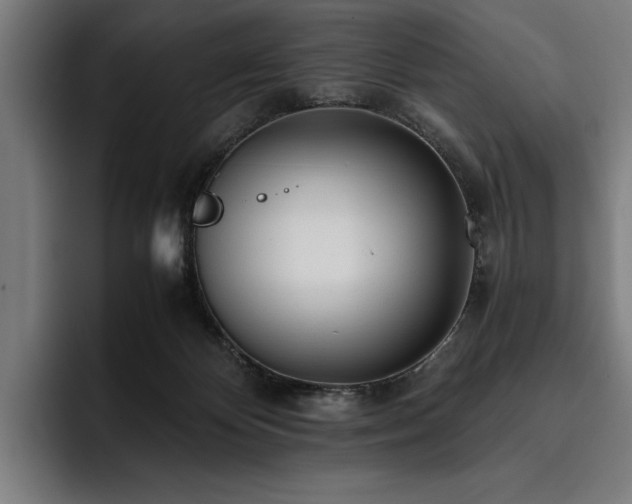 X0000093530124200710121606