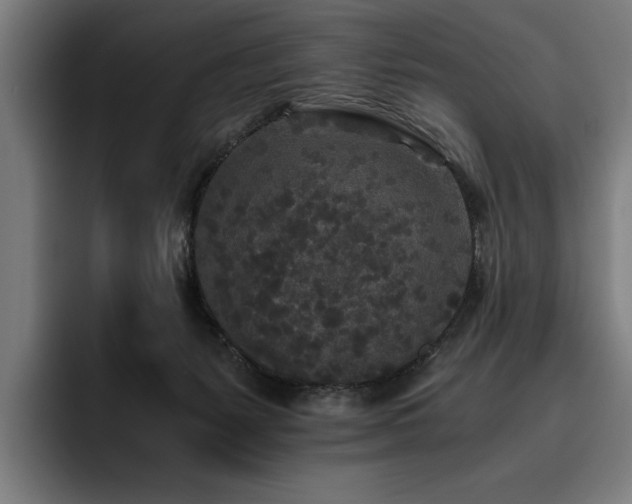 X0000093530127200710121606