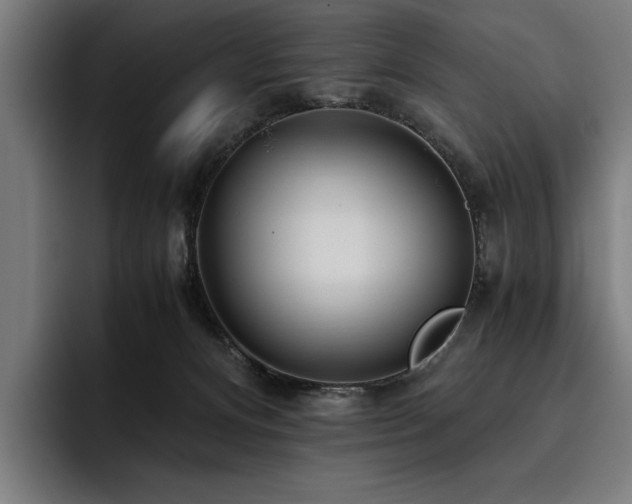 X0000093530128200710121606