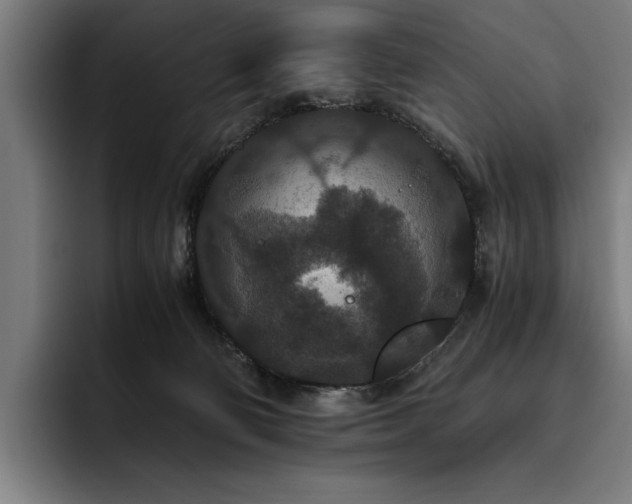 X0000093530130200710121606