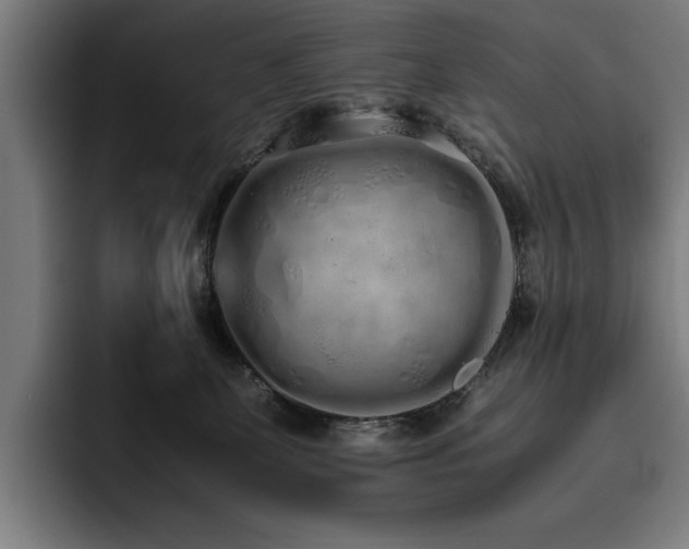 X0000093530131200710121606