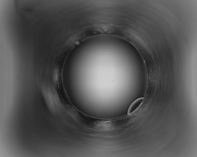 X0000093530132200710121606