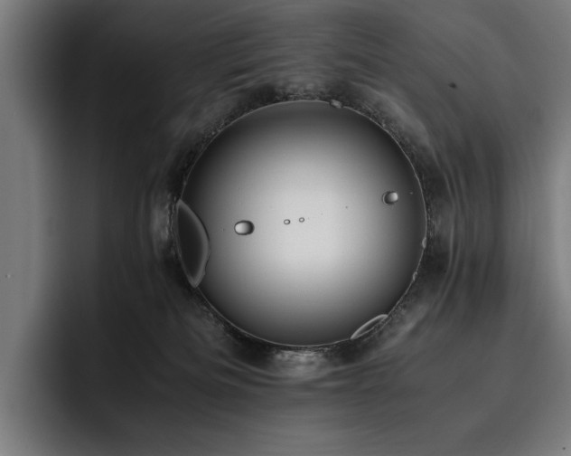 X0000093530133200710121606