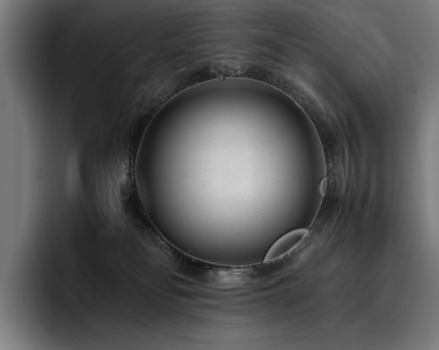 X0000093530134200710121606