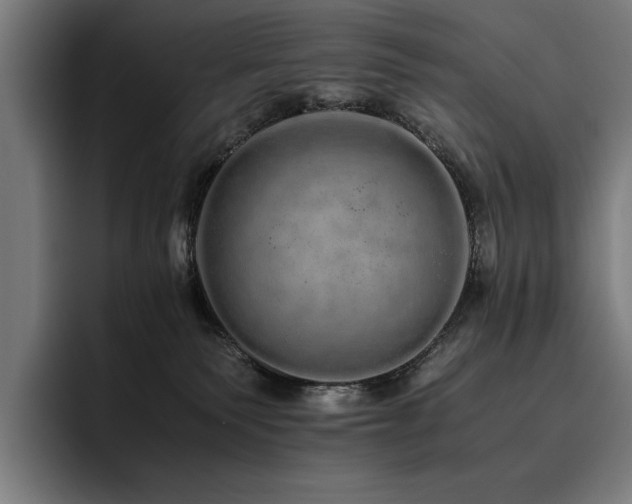 X0000093530135200710121606