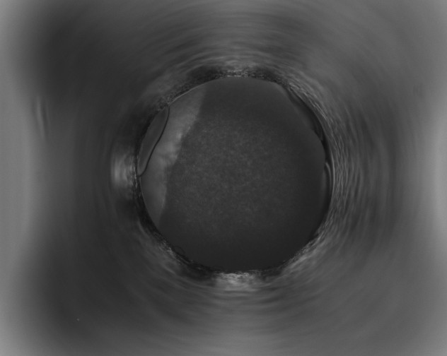 X0000093530137200710121606