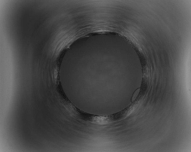 X0000093530139200710121606