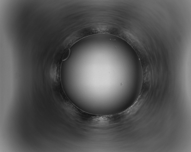 X0000093530140200710121606