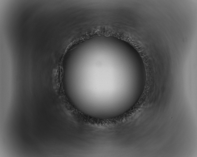 X0000093530144200710121606