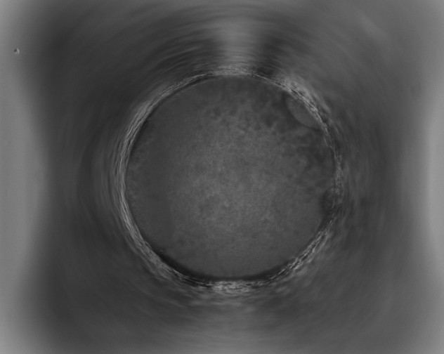 X0000093530145200710121605