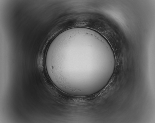 X0000093530146200710121605