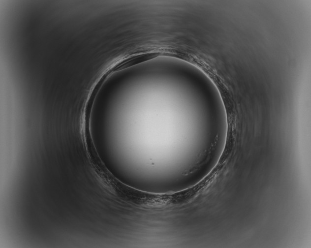 X0000093530148200710121605