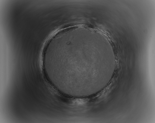 X0000093530149200710121605