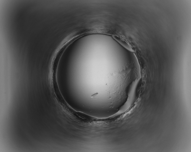 X0000093530150200710121605