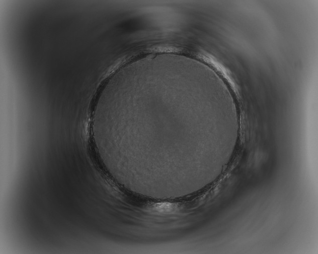 X0000093530153200710121605