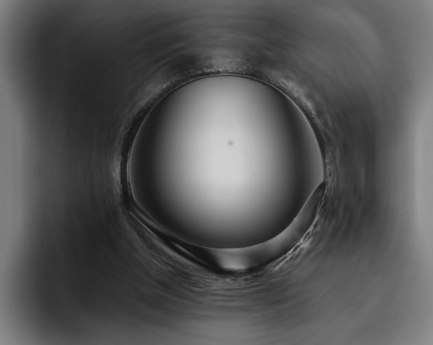 X0000093530154200710121605