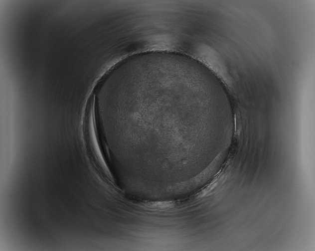 X0000093530156200710121605