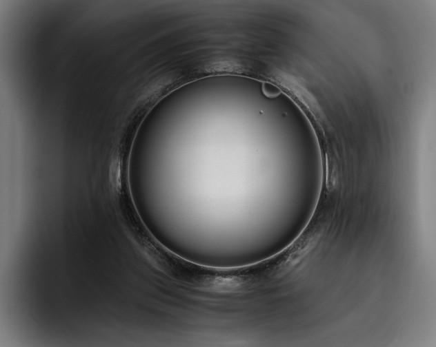 X0000093530157200710121605