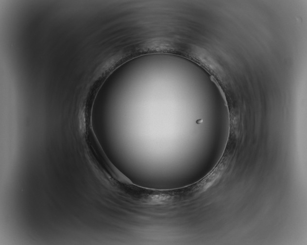 X0000093530158200710121605
