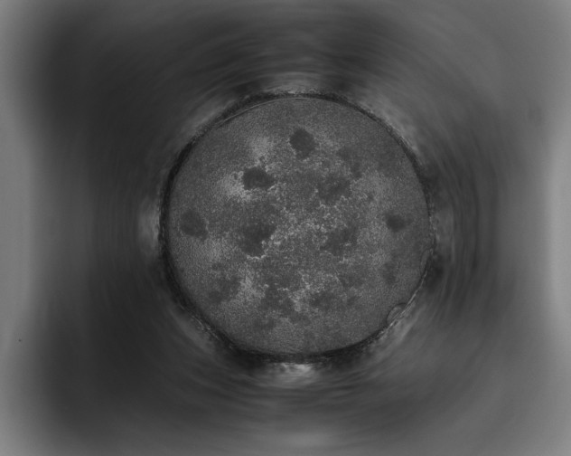 X0000093530159200710121605