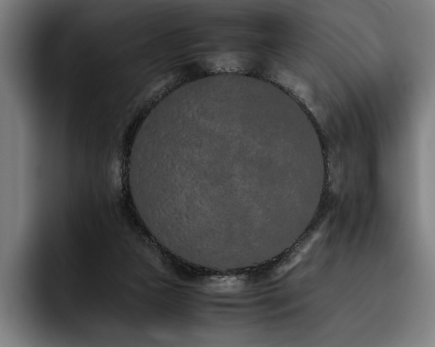 X0000093530161200710121605