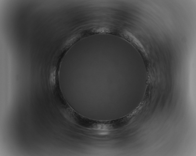 X0000093530163200710121605