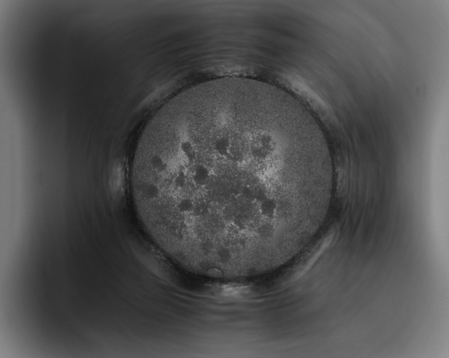 X0000093530165200710121605