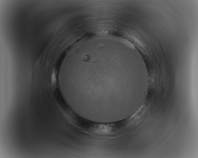 X0000093530166200710121605