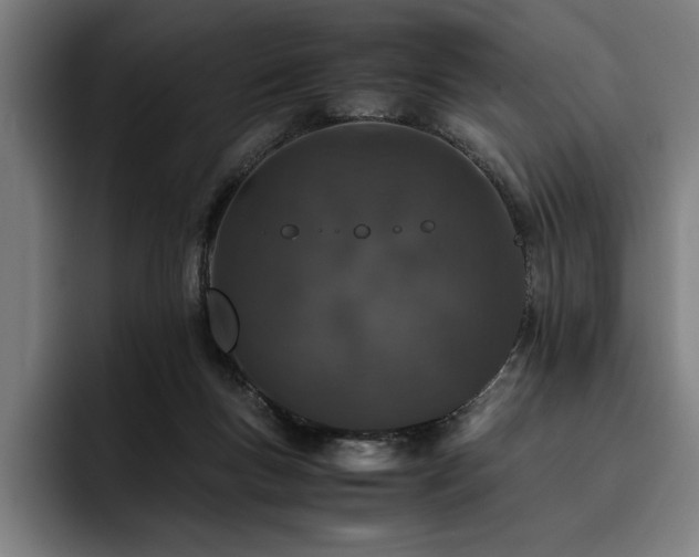 X0000093530167200710121605