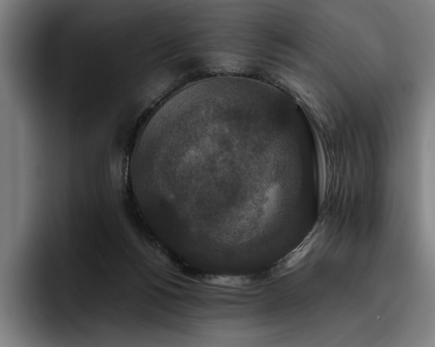 X0000093530168200710121605