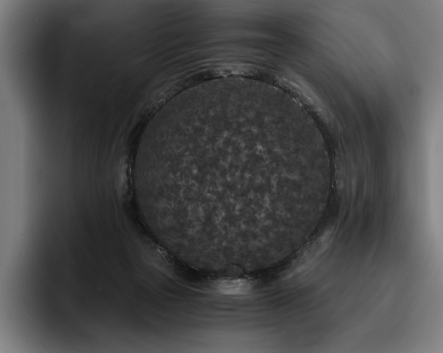 X0000093530169200710121605