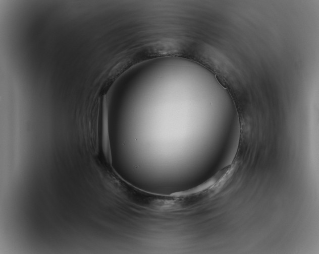 X0000093530170200710121605
