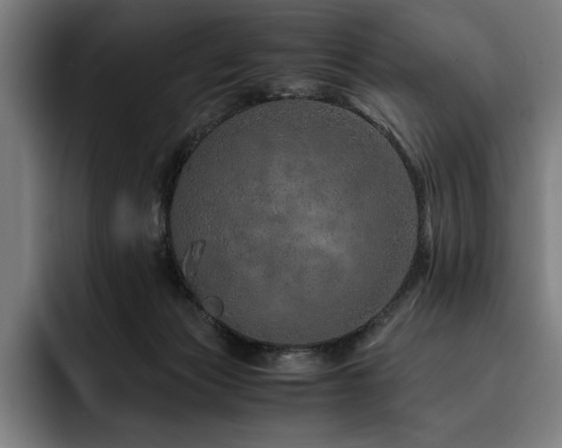 X0000093530173200710121606