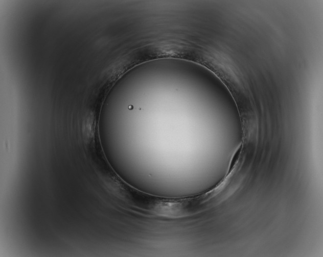 X0000093530174200710121606